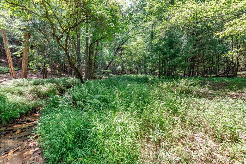 417689 Mineral Bluff Land