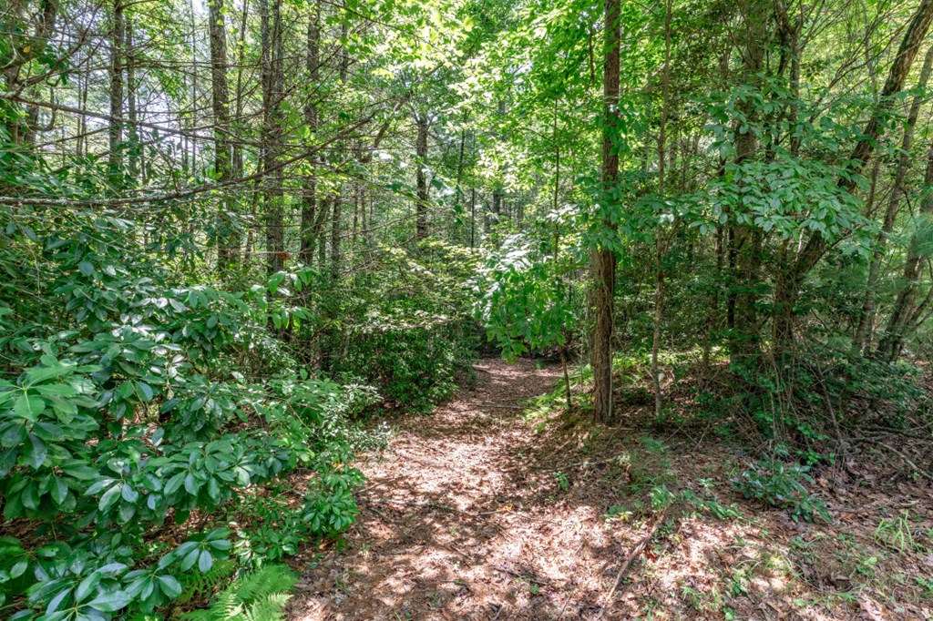 417689 Mineral Bluff Land