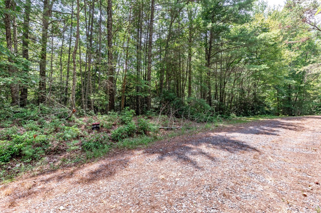 417689 Mineral Bluff Land