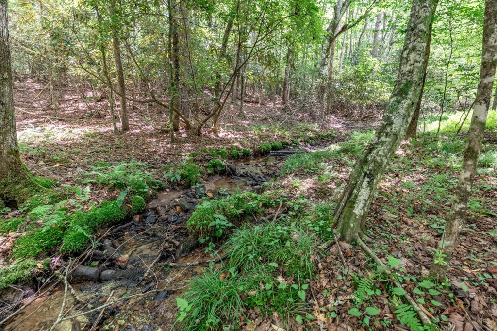 417690 Mineral Bluff Land