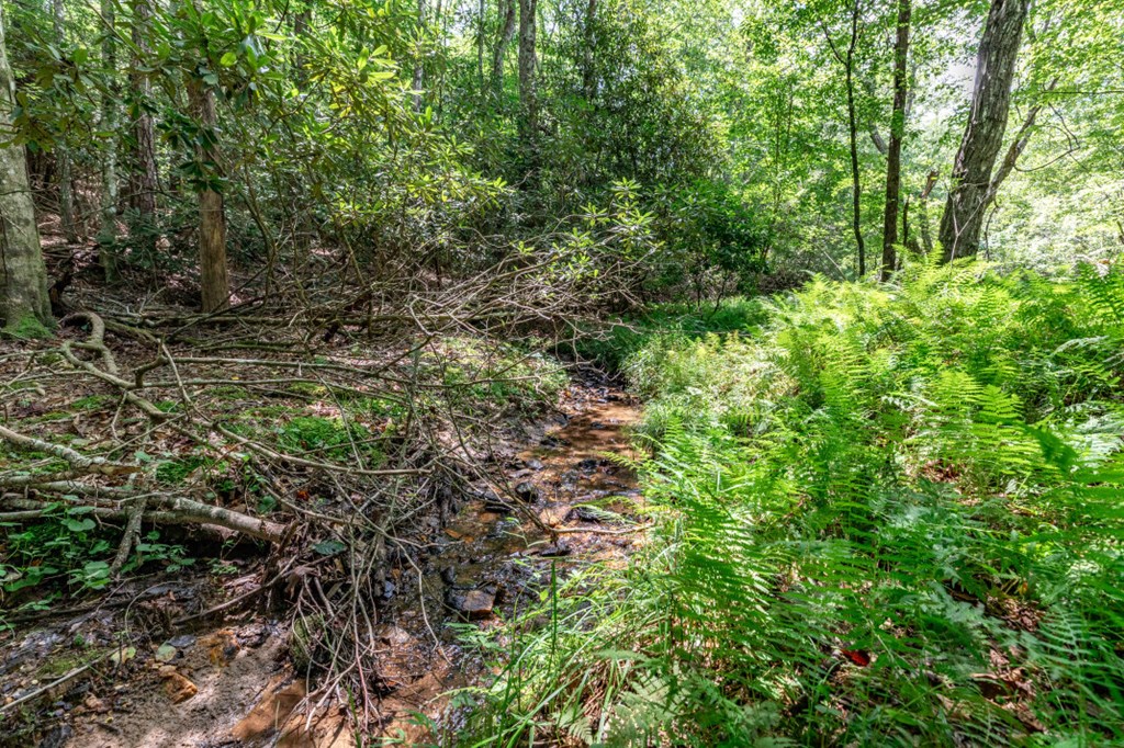 417690 Mineral Bluff Land