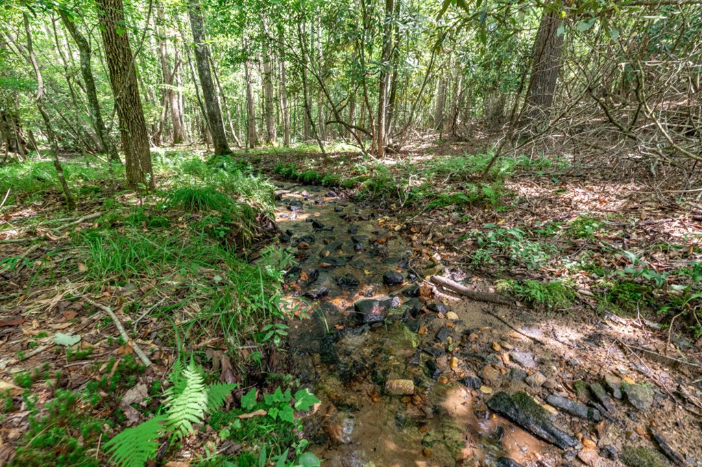 417690 Mineral Bluff Land