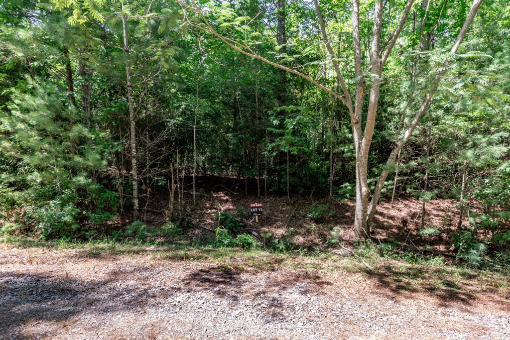 417693 Mineral Bluff Land