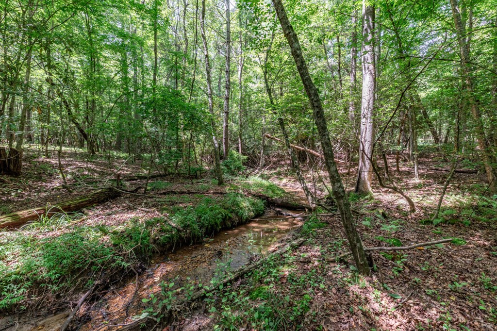 417693 Mineral Bluff Land
