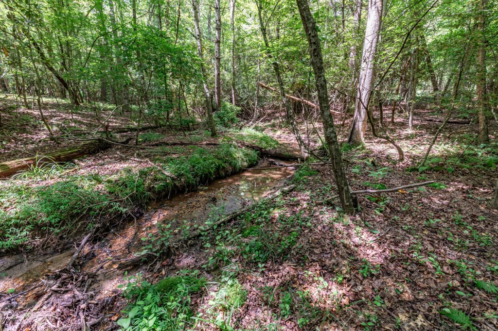417693 Mineral Bluff Land