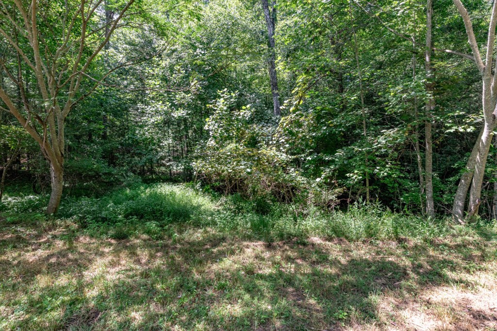 417693 Mineral Bluff Land