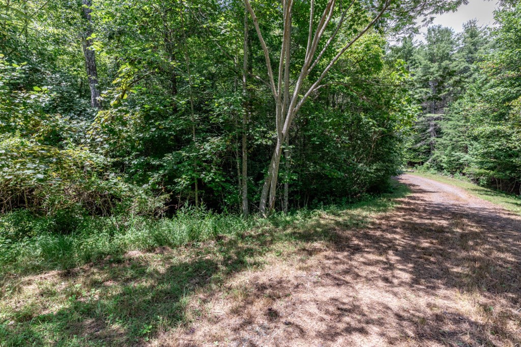 417693 Mineral Bluff Land