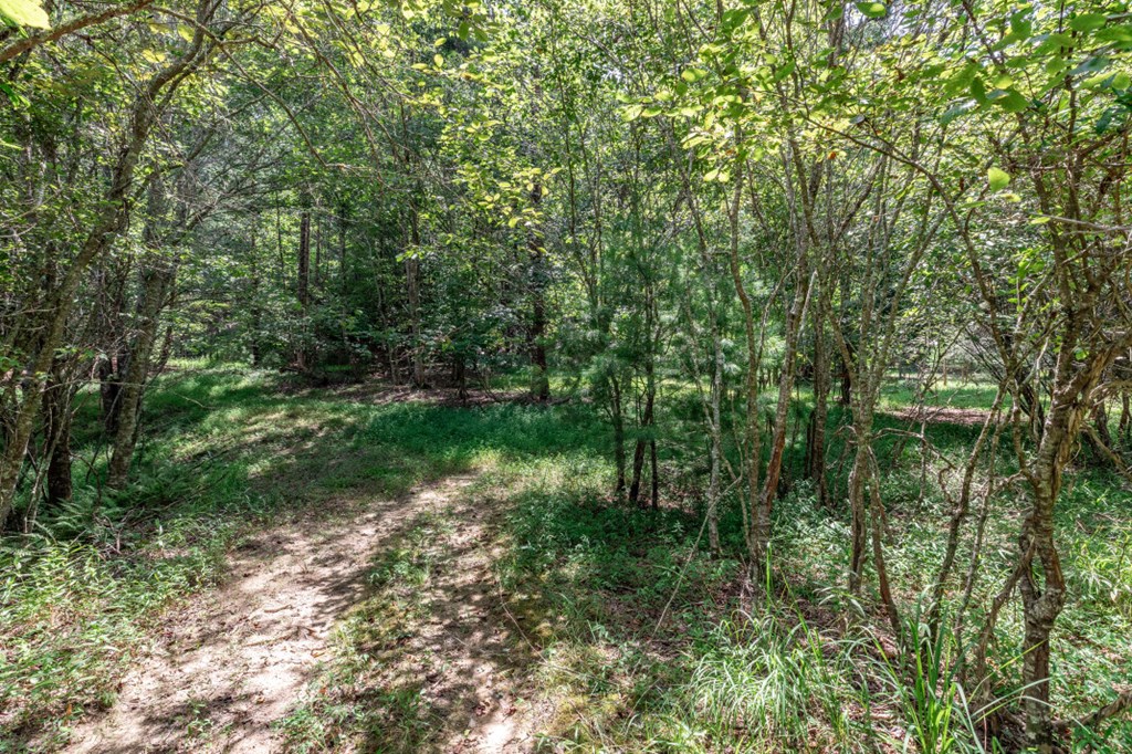 417694 Mineral Bluff Land