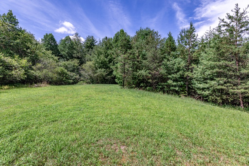 417694 Mineral Bluff Land
