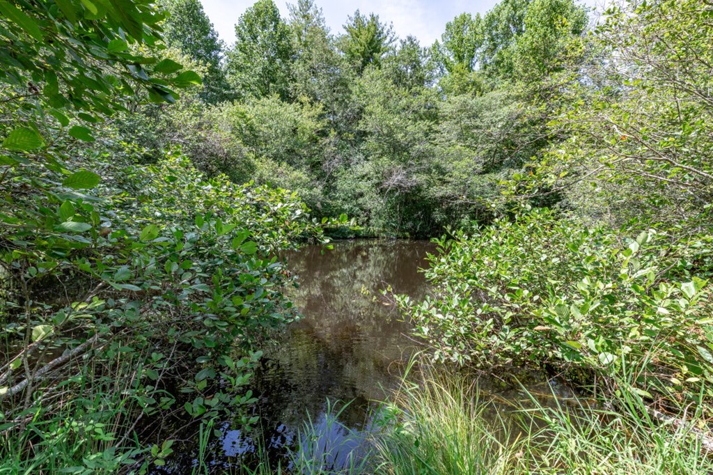 417694 Mineral Bluff Land