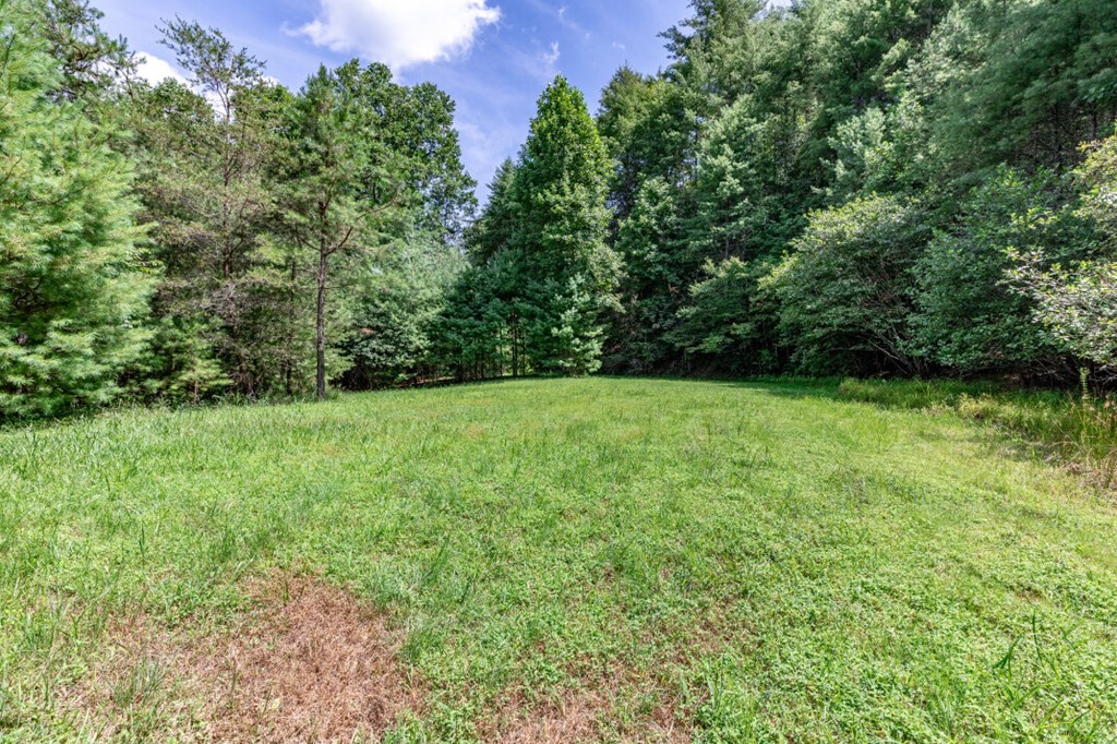 417694 Mineral Bluff Land