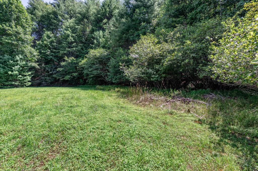 417694 Mineral Bluff Land