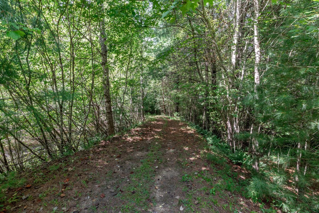 417694 Mineral Bluff Land