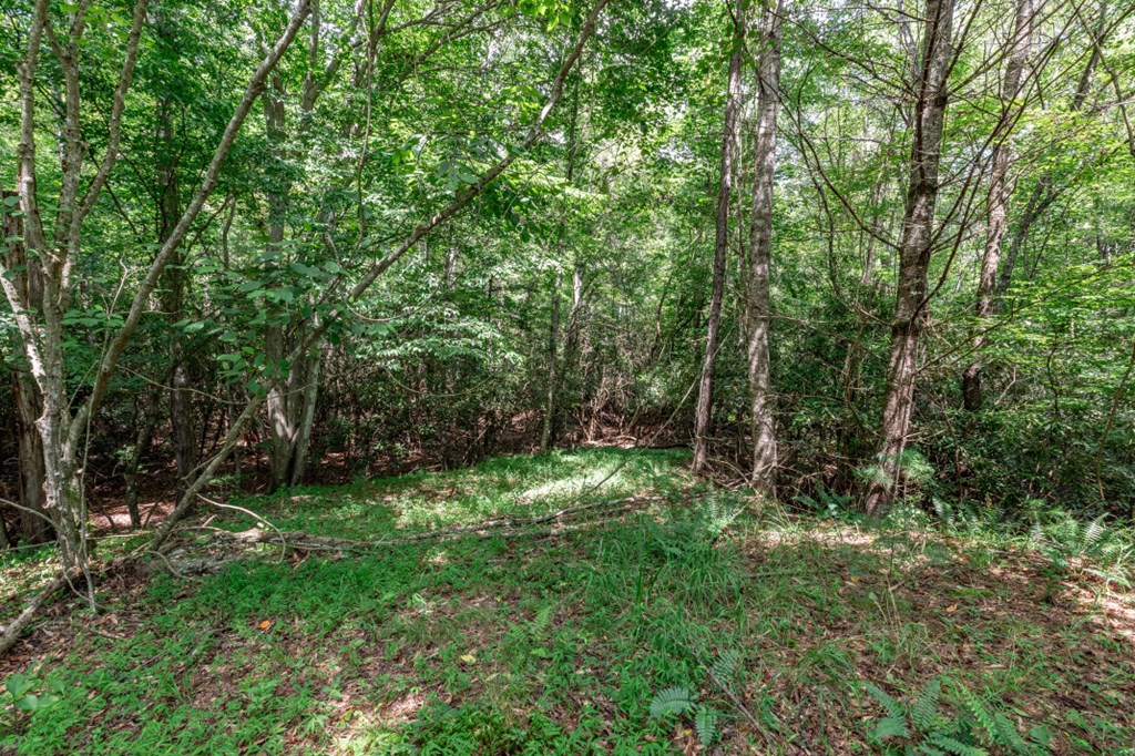 417694 Mineral Bluff Land