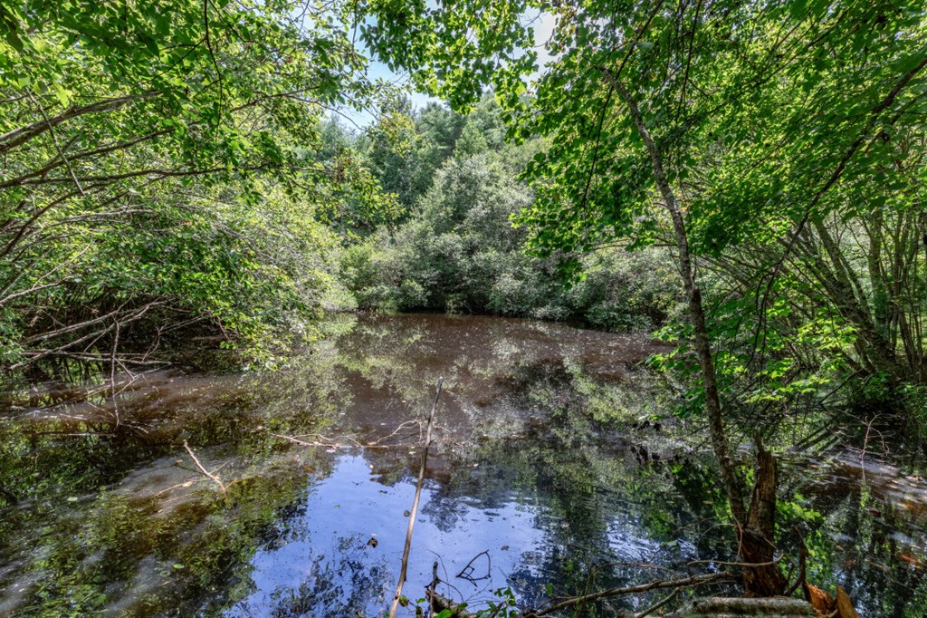417694 Mineral Bluff Land
