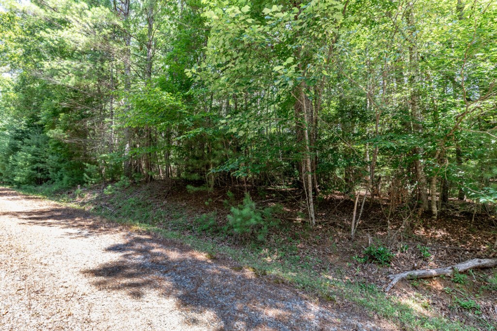 417695 Mineral Bluff Land