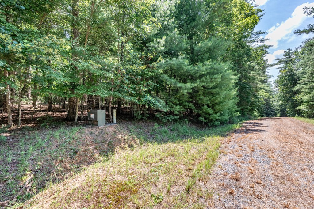 417695 Mineral Bluff Land