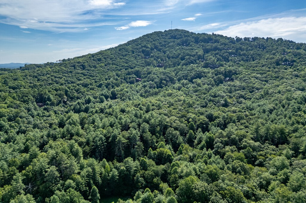 417696 Mineral Bluff Land