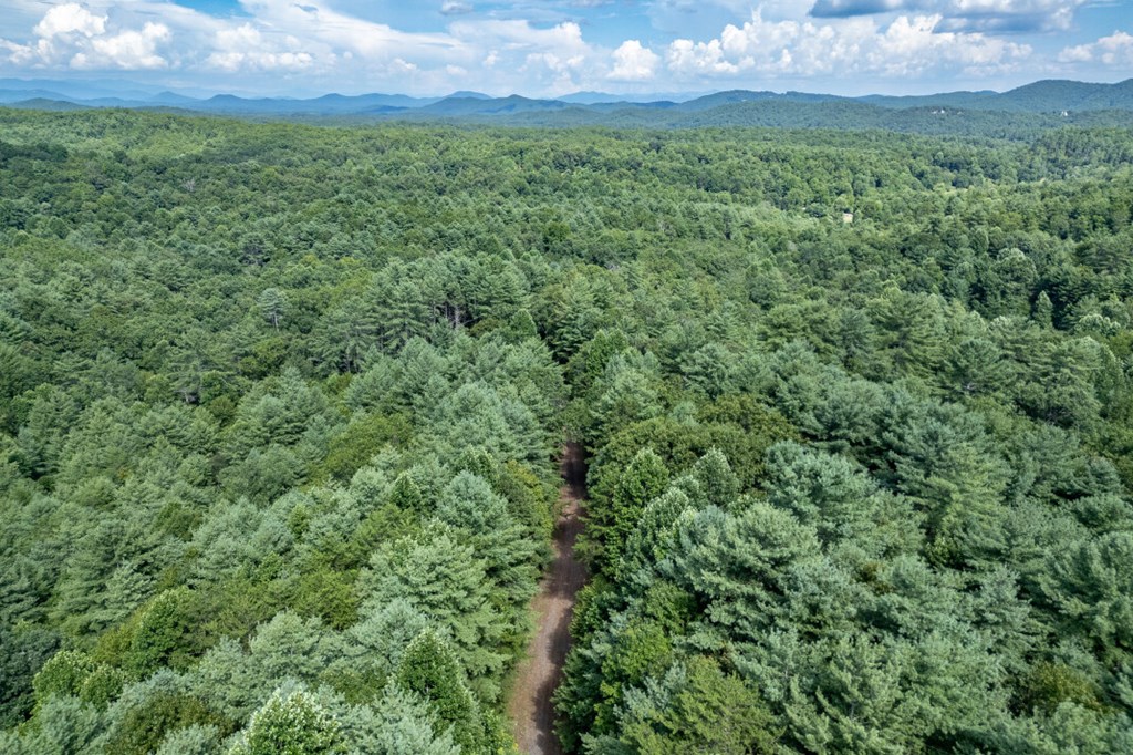 417696 Mineral Bluff Land