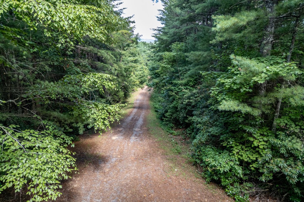 417696 Mineral Bluff Land