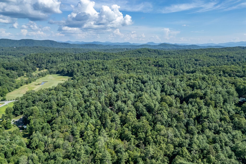 417696 Mineral Bluff Land