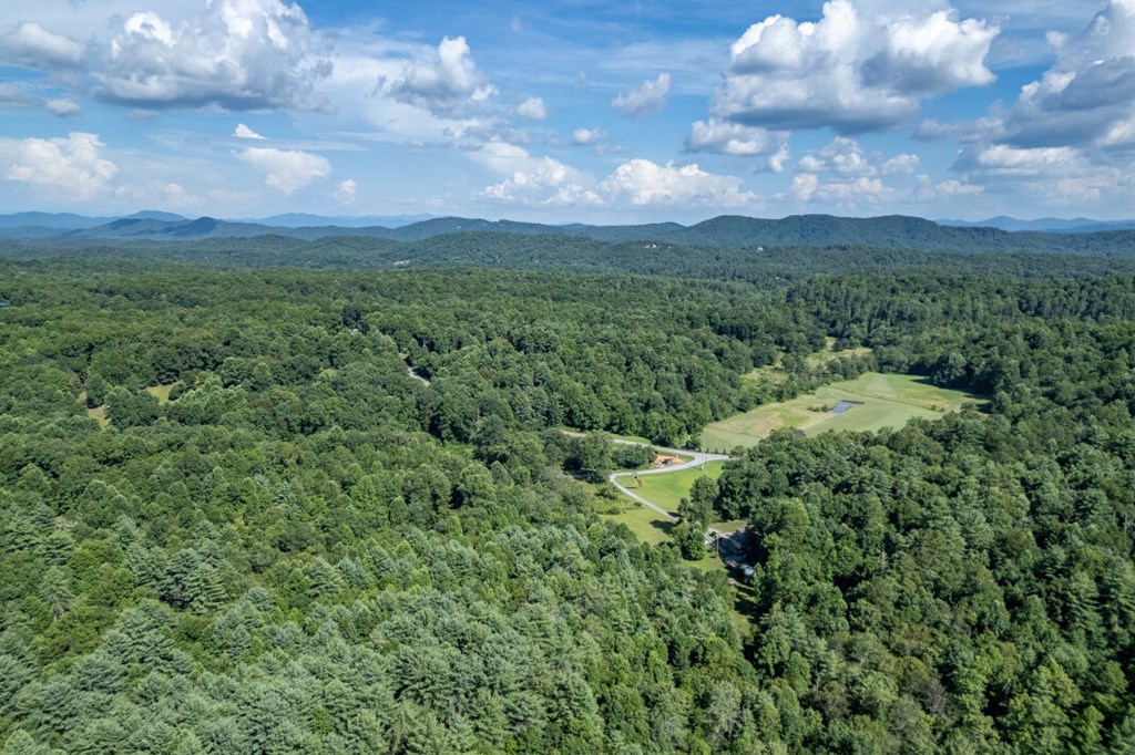 417696 Mineral Bluff Land