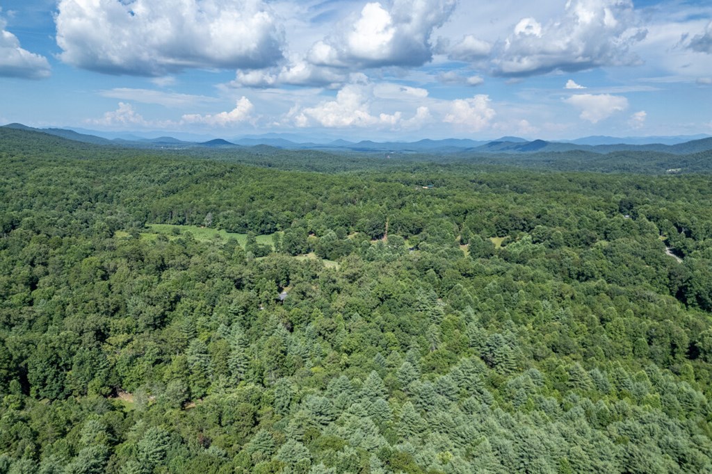 417696 Mineral Bluff Land