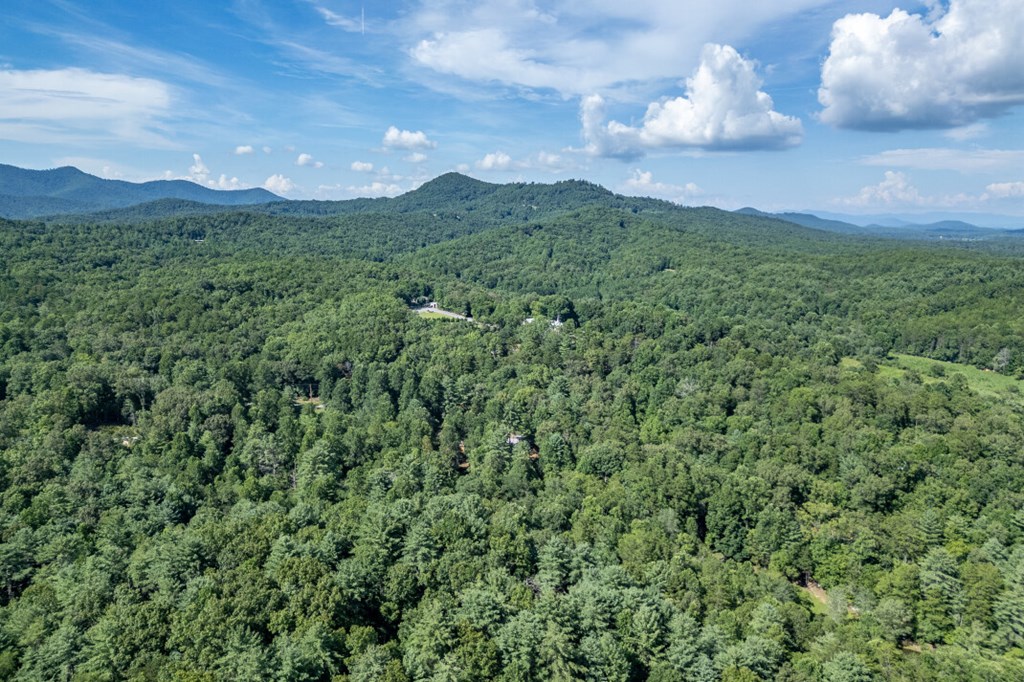 417696 Mineral Bluff Land