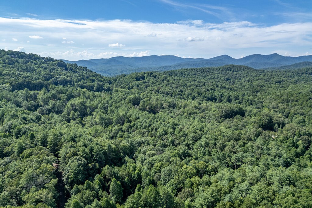 417696 Mineral Bluff Land