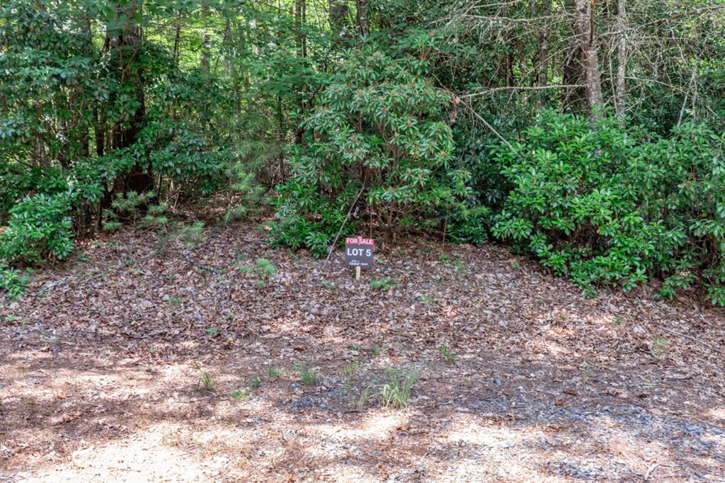 417697 Mineral Bluff Land