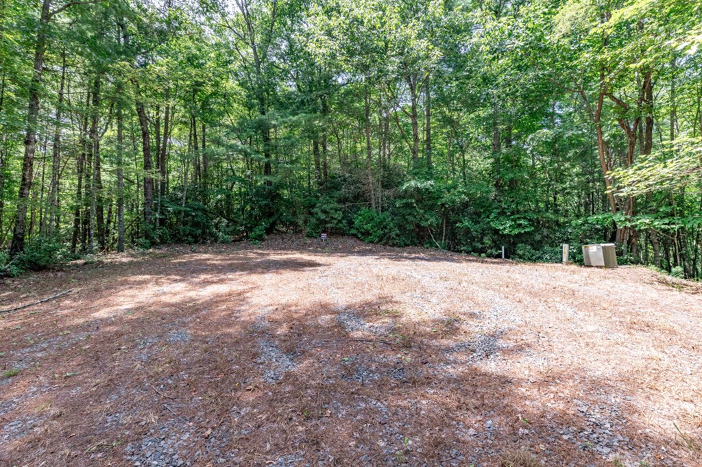 417697 Mineral Bluff Land
