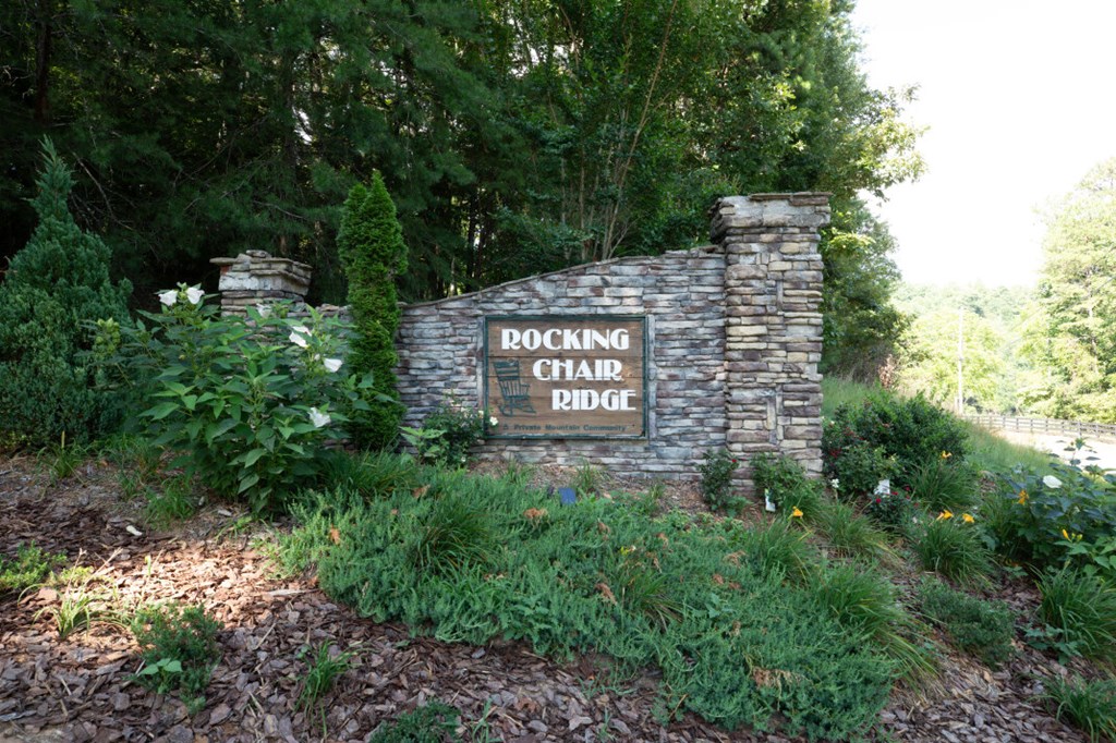 417698 Mineral Bluff Land