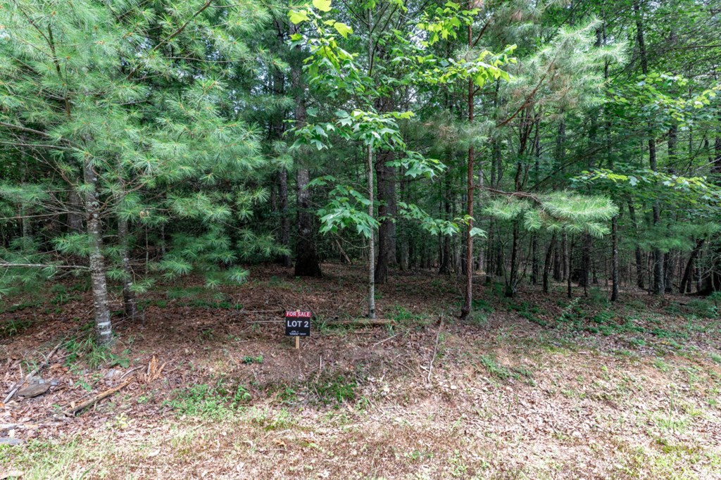 417698 Mineral Bluff Land
