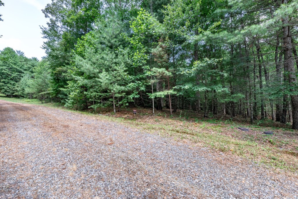 417698 Mineral Bluff Land