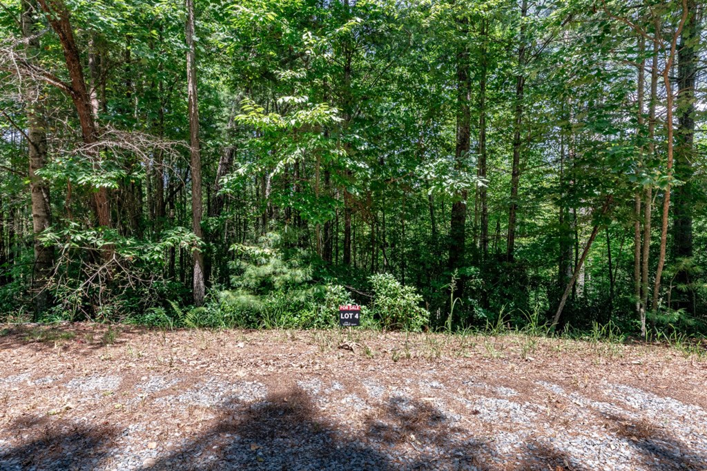 417699 Mineral Bluff Land