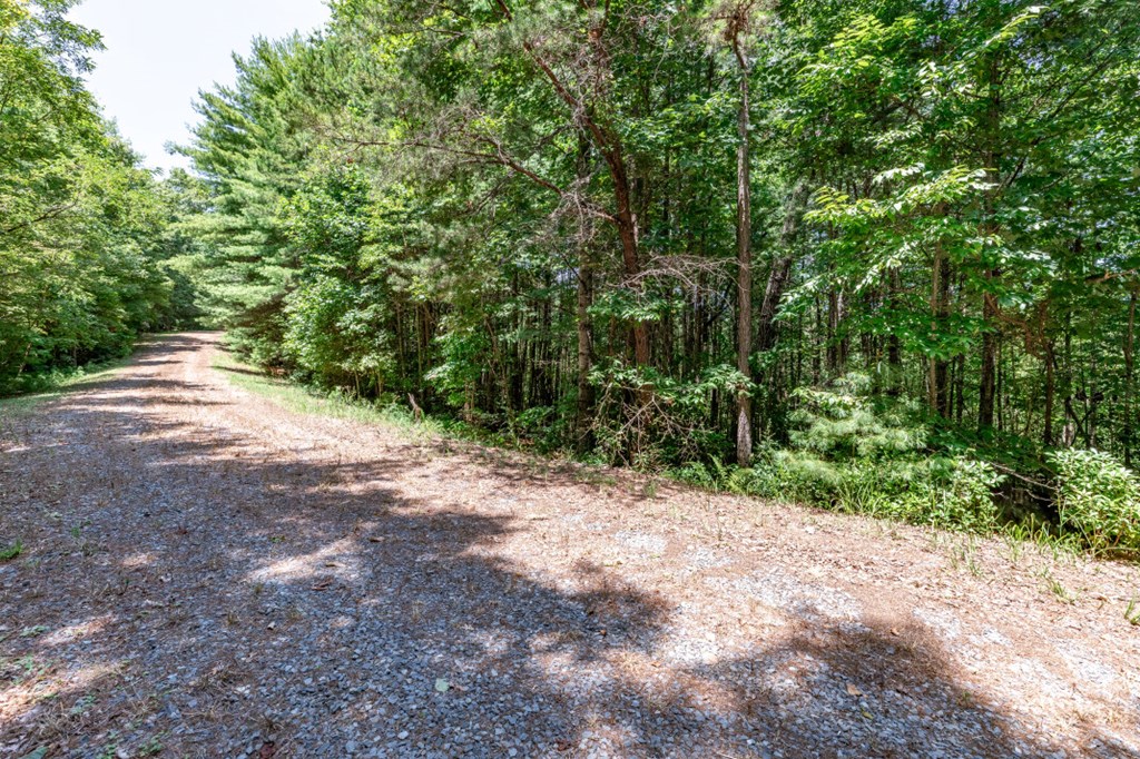 417699 Mineral Bluff Land