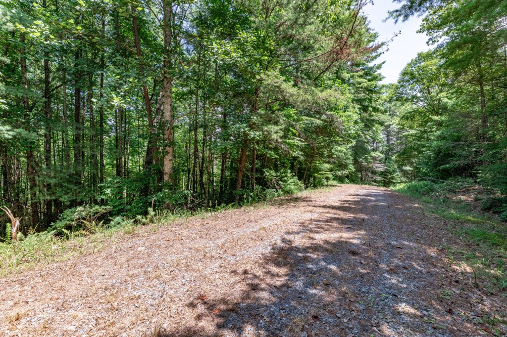 417699 Mineral Bluff Land