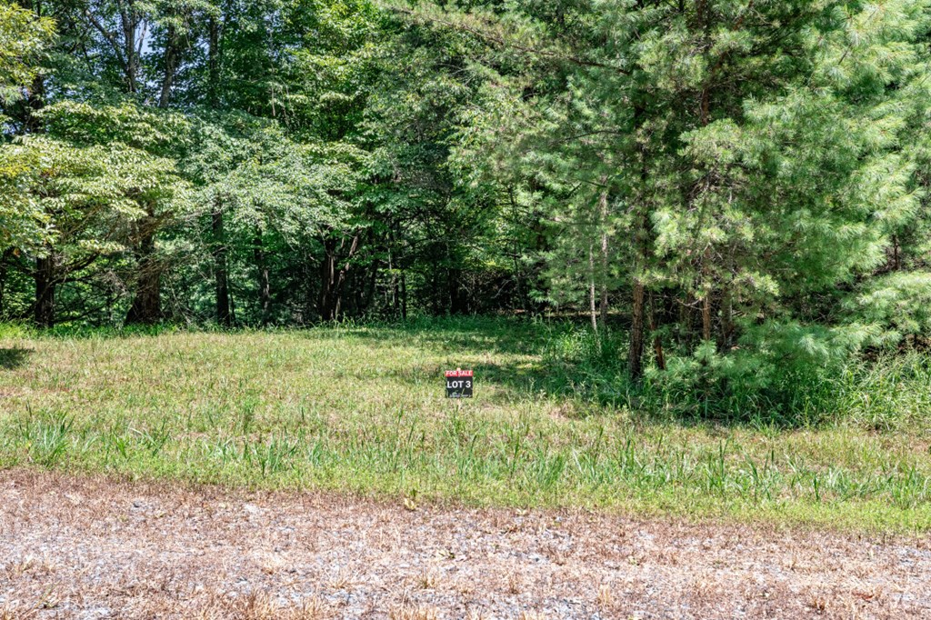 417700 Mineral Bluff Land