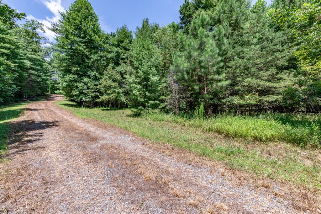 417700 Mineral Bluff Land