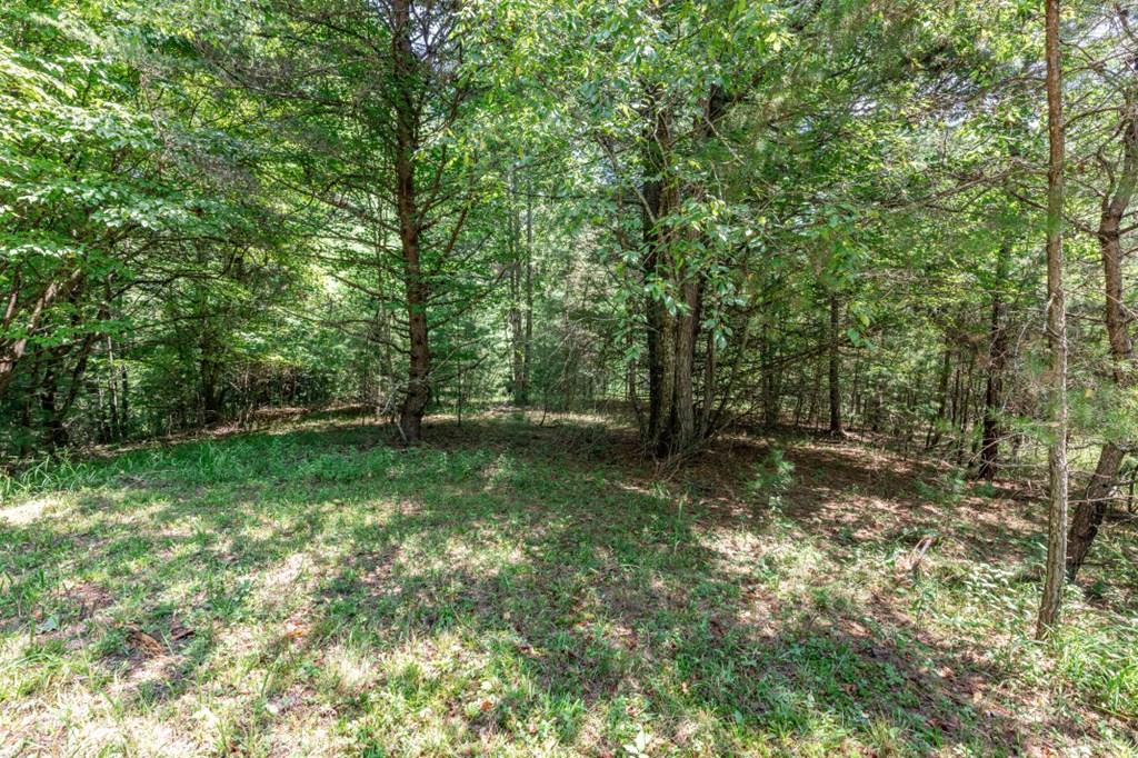 417700 Mineral Bluff Land