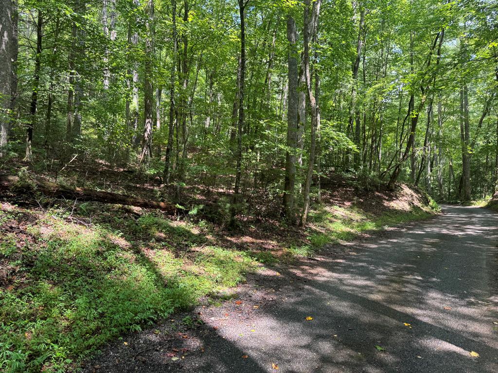 417702  Land
