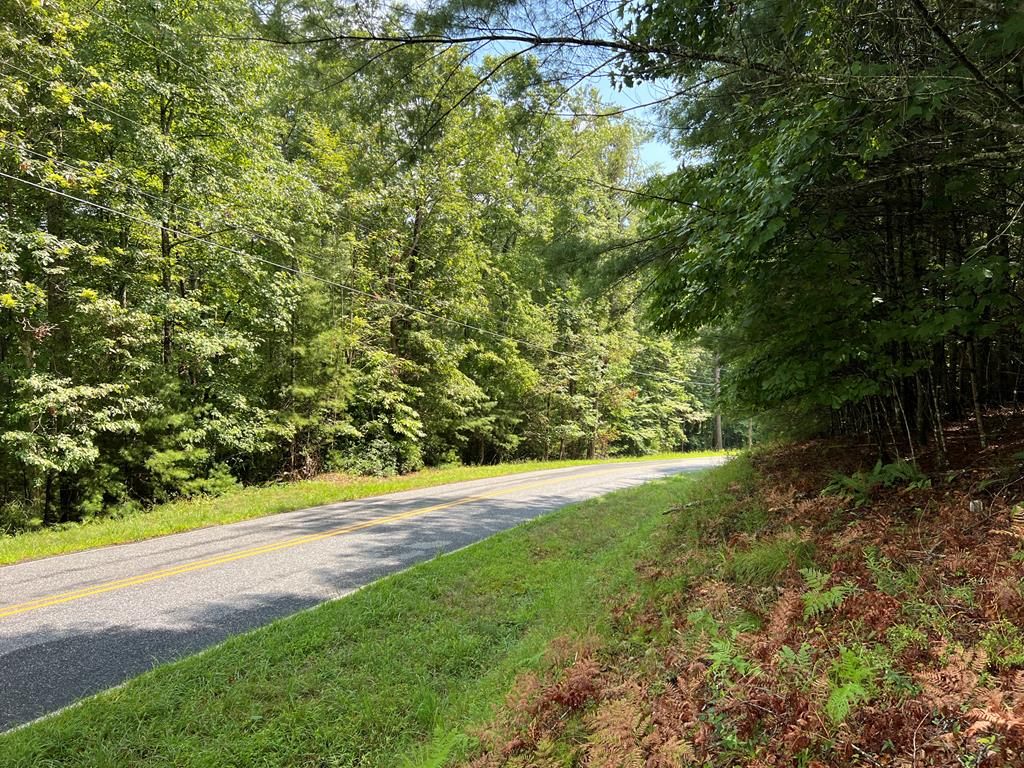 417730 Brasstown 