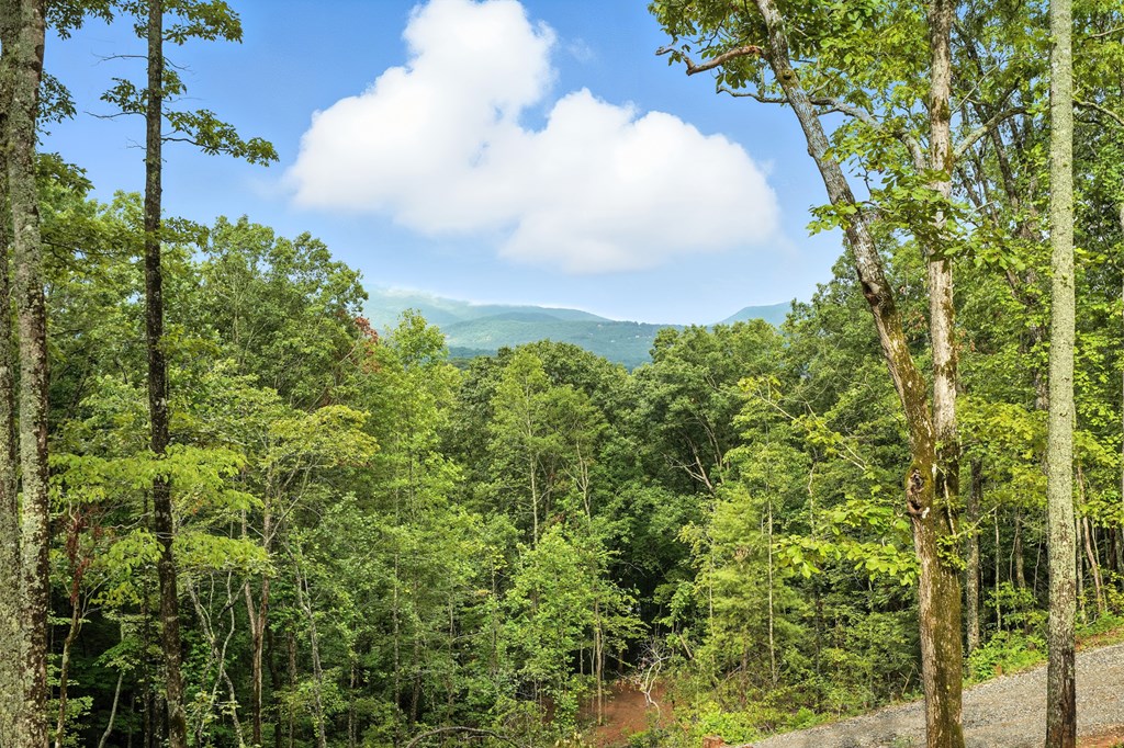 417731 Hiawassee Residential