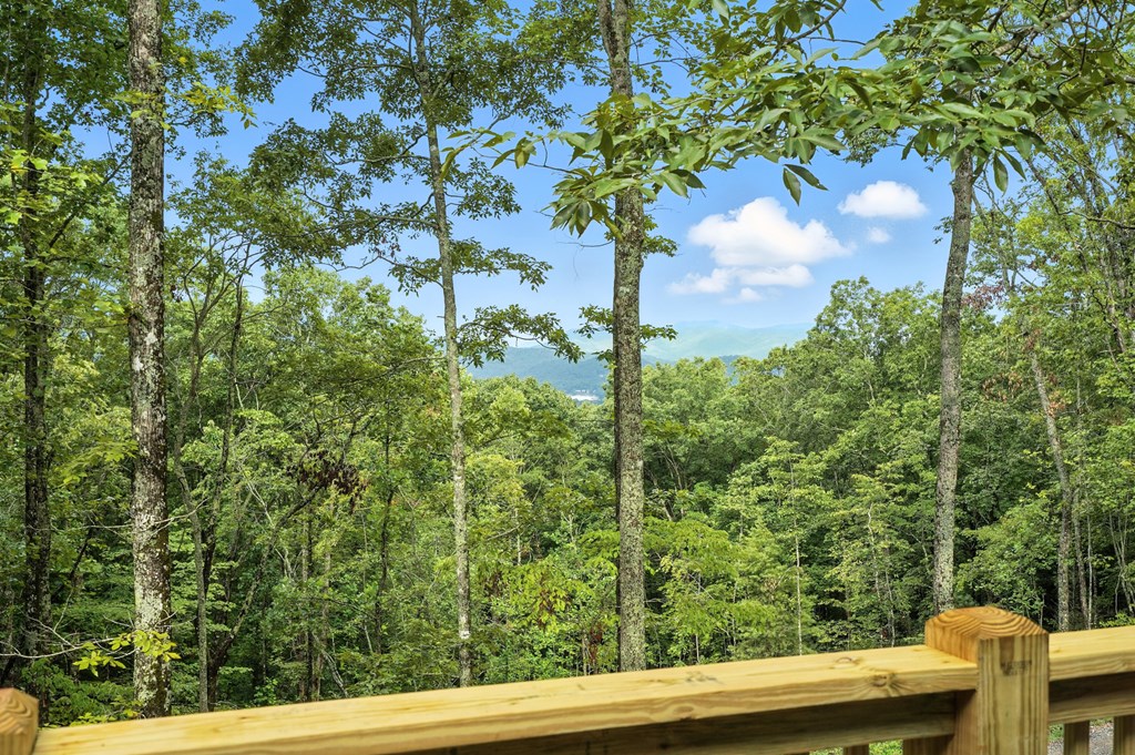 417731 Hiawassee Residential