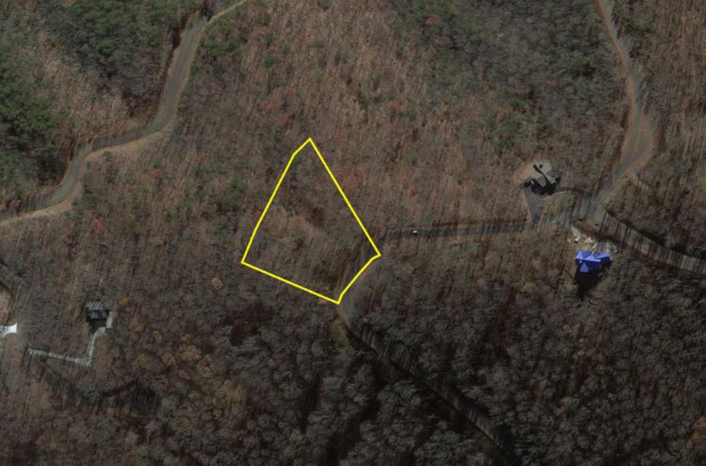 417746 Ellijay Land