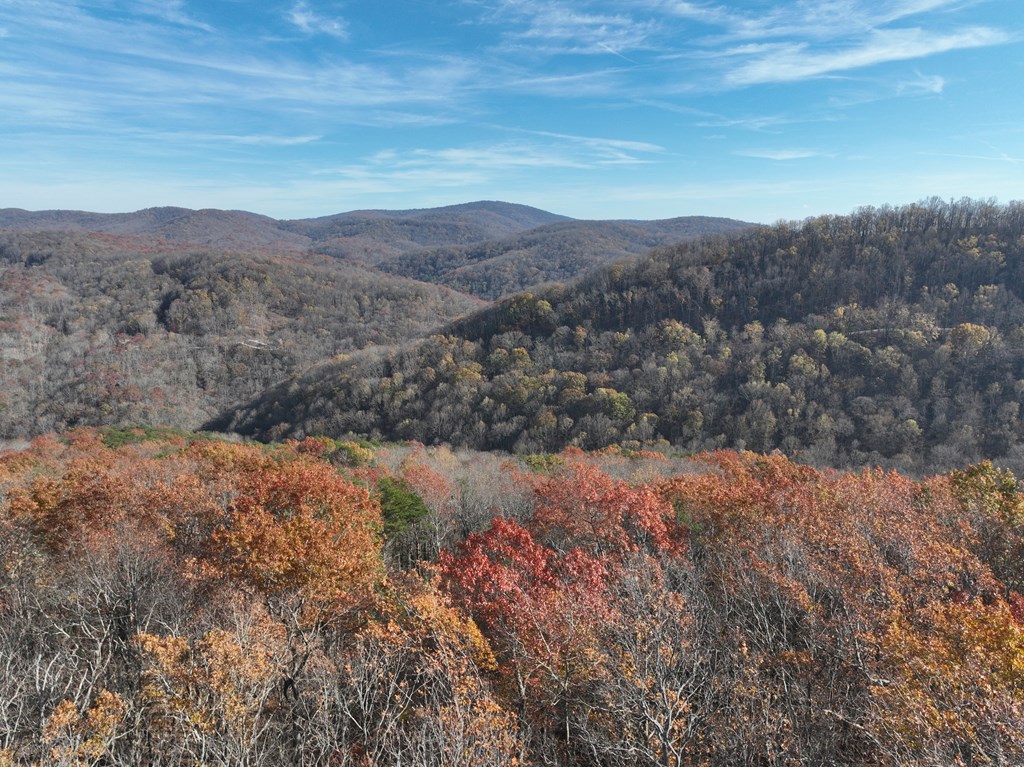 417746 Ellijay Land