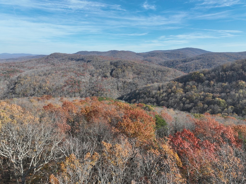 417746 Ellijay Land