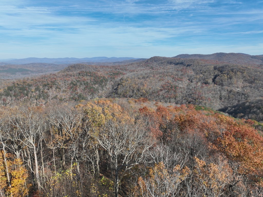 417746 Ellijay Land