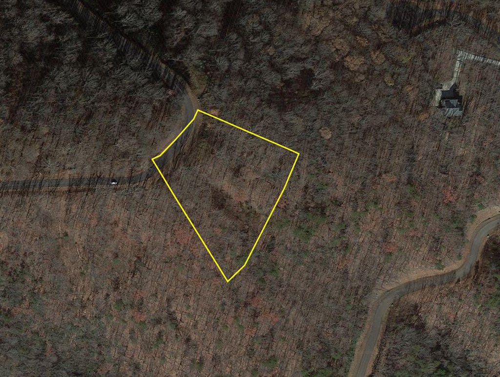 417746 Ellijay Land