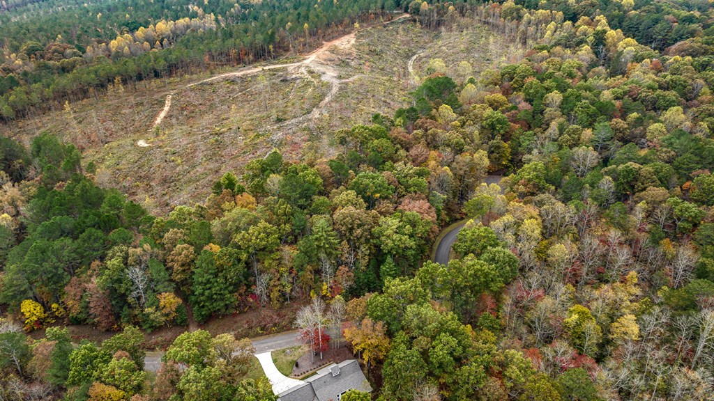 417755 Ellijay Land
